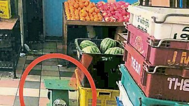 Photo of 用具放走道藏危機 民眾採購小心意外