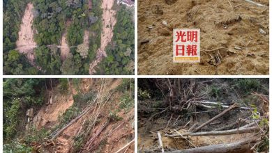 Photo of 提前5個月完工 升旗山5山坡修竣