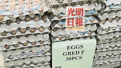 Photo of 管制令衝擊  30粒僅1.99元  迷你雞蛋滯銷便宜賣