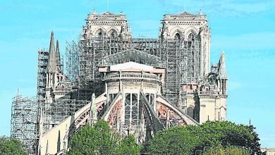 Photo of 巴黎聖母院疫中開始復修