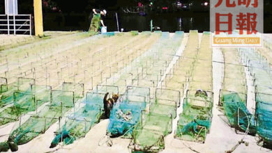 Photo of 置玻州港口海域 充公18套捕魚筌籠