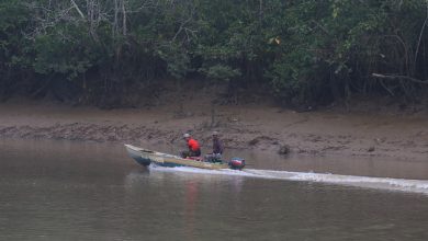 Photo of 馬新合建柔佛河建河壩  破壞河游生物漁獲減