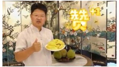 Photo of 最愛榴槤中國大使 白天抖音短片推銷果王