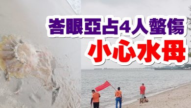 Photo of 4戲水客受傷   1在加護病房  峇眼亞占海灘水母螫人