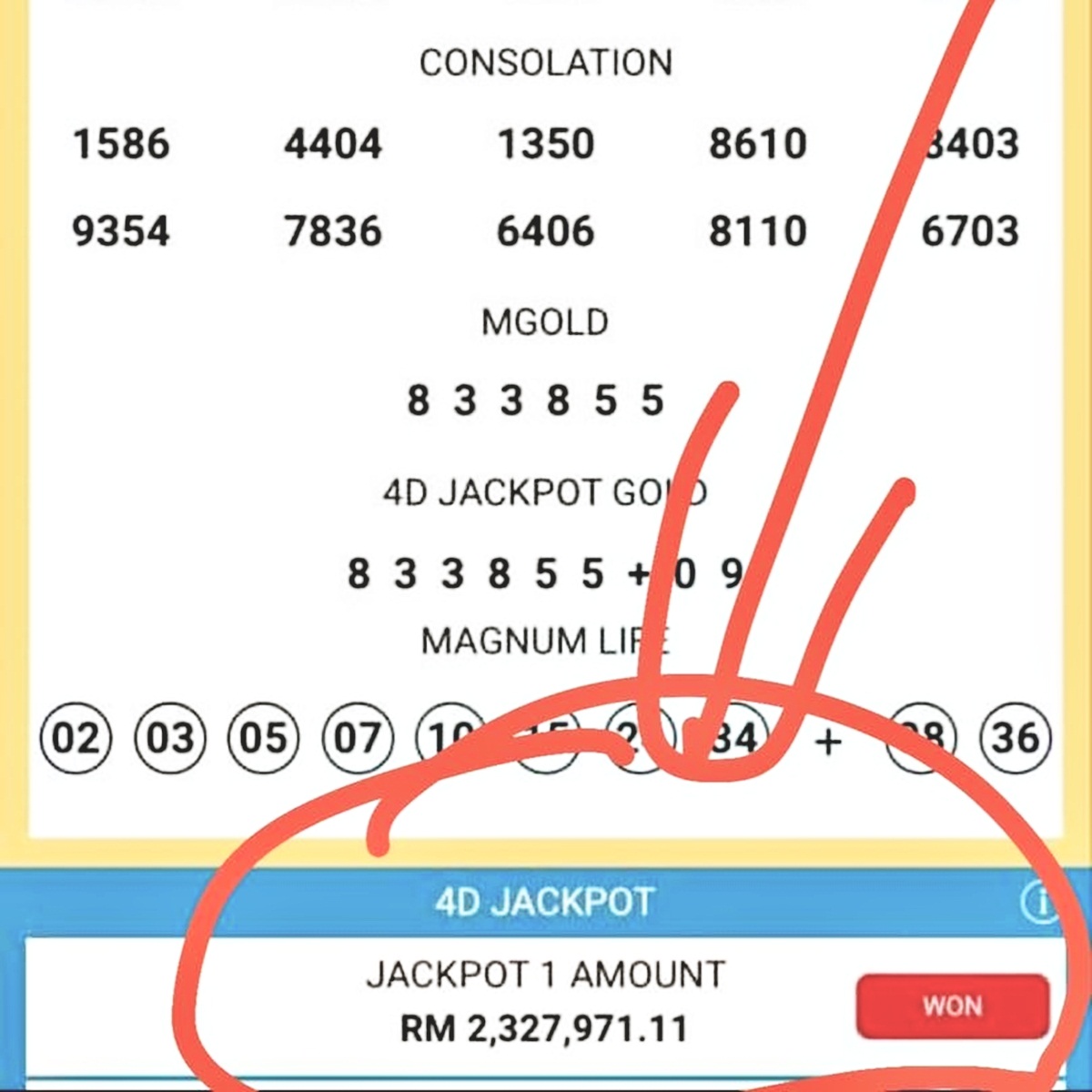 jackport11(6397154)-20200617235911