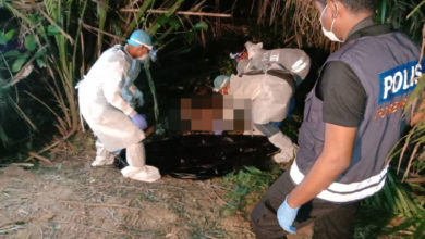Photo of 油棕園發現半裸男屍  斃命數日腐爛