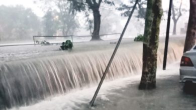 Photo of 樹倒壓車 房子積水 雪隆閃電水災