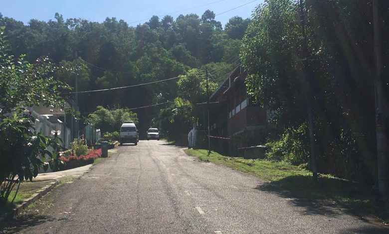 警方派遣2名警員及流動行動室，24小時駐守在安老院外。