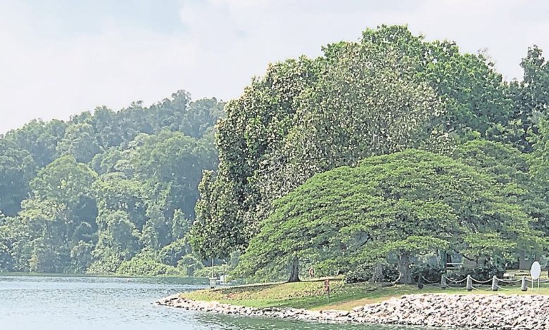 新加坡的山水风景都收藏在中央集水区里。