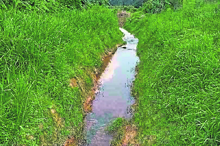 阿依沙叻河是其中一條受到污染的河流，農民暫時不敢用河水來灌溉農作物。