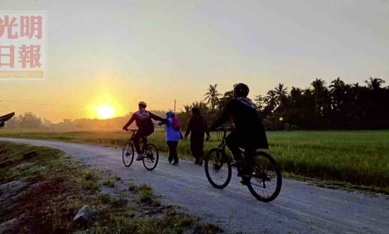 許多居民大清早就在甘榜德魯斯稻田旁晨運和騎腳車，呼吸新鮮空氣。
