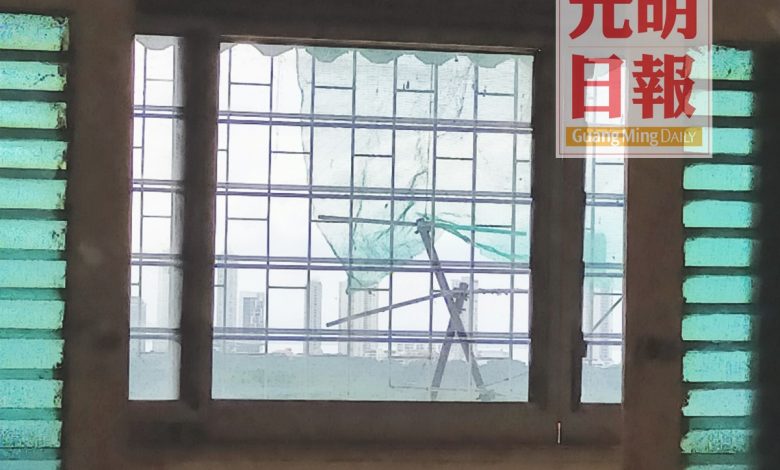 王先生的陽台也掛上防蚊網，防止鴿子毛及蝨子飛進自家陽台。

