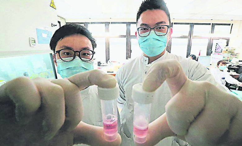 疫情下，伊利沙伯醫院醫務化驗師Tom（左）和阿炮（右）在實驗室內爭分奪秒處理樣本，務求盡快取得檢測結果，協助前線醫護提供診症。二人手持的粉紅色液體為“病毒運送培養基”，可令病毒停止增生或死亡。