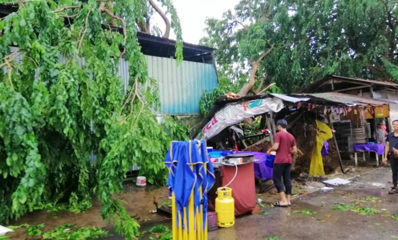 無情暴風雨，導致瑪琳中小型工業區廠房也遭殃，被大樹倒下擊中。