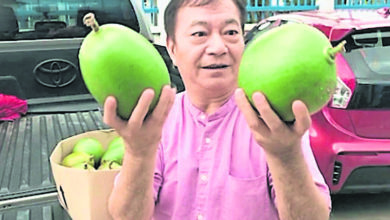 Photo of 阿燦陪妻返馬滯留7個月 參觀農作業大開眼界