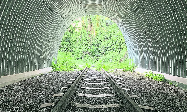 整修过的火车隧道能拍出很有感觉的照片。