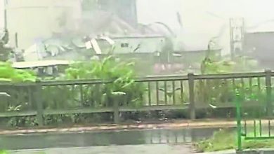 Photo of 米克拉登陸福建 有廠房被強風吹倒