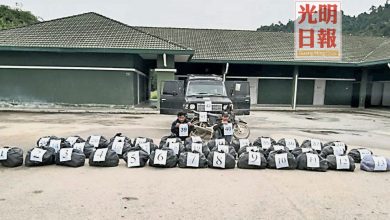 Photo of 圖走私380公斤哥冬葉 2男子馬泰邊界被捕