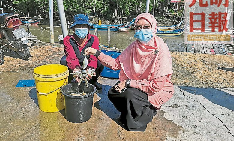 漁民每日帶回的漁貨都沒人敢來選購。