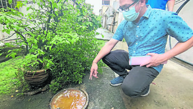 Photo of 甲蚊症病例日增 劉志良吁民清後巷雜物