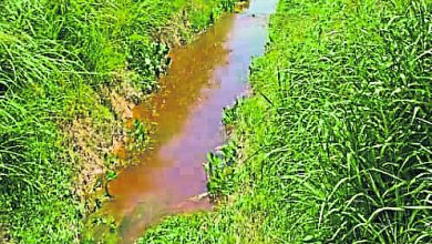 Photo of 阿依沙叻河被廢水染黑 農民困擾沒水灌溉