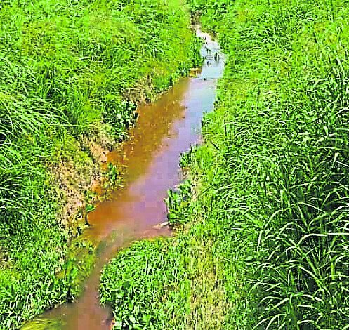 污濁的河水令農民不敢使用來灌溉。