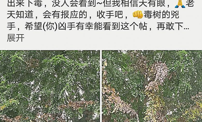 朱建豐在各社交媒體群組發帖文，希望破壞者停手。
