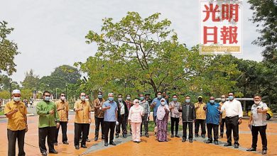Photo of 霹植物園或收2元保育費 太平市會稱考慮中