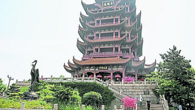 Photo of 助旅遊經濟復甦 中多省推景區門票優惠