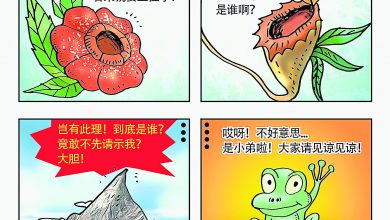 Photo of 【漫畫】名勝上位