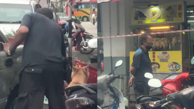 Photo of 煙頭燙流浪狗臀部 網民轟男子漠視生命