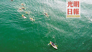 Photo of 真浪海灘渡德波島 14健兒游泳劃舟賀國慶