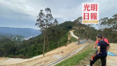 Photo of 尤端祥：無視停工令 湖內禿頭山仍動工