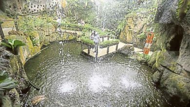 Photo of 【Jom！Cuti-cuti Malaysia．3】昆蟲理想樂土 看蝴蝶翩翩飛舞