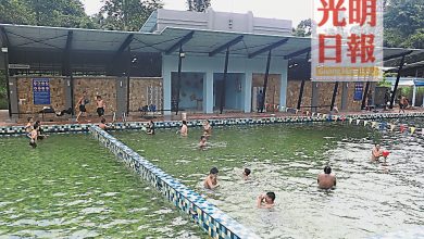 Photo of 太平加冕泳池重開 部分公眾前來視察