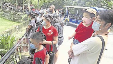 Photo of 7月6.1萬人參觀 太平動物園遊客回流