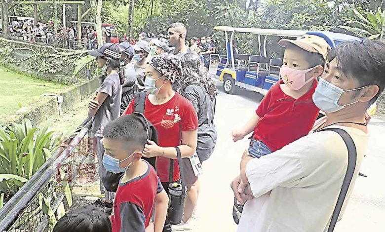太平動物園在進入復甦式管制令後，參觀者的人數不斷增加。