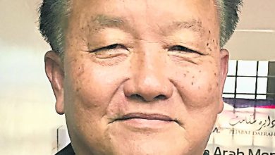 Photo of 昔市會多區砍樹引關注 民眾促改以修剪枝椏