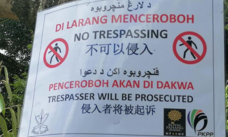 彭亨皇家榴槤集團和彭亨農業發展機構在芭場設有“不可入侵，入侵者將被起訴”的告示牌。
