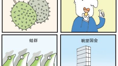Photo of 【漫畫】蛙蛙聲