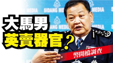 Photo of 大馬男英賣器官？ 警開檔調查