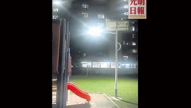 Photo of 太陽能燈電池裝杆頂  竊賊想再偷也沒辦法了