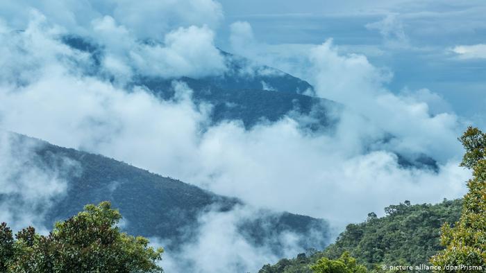 拉美熱帶雨林：秘魯國家公園是聯合國世界自然遺產。
