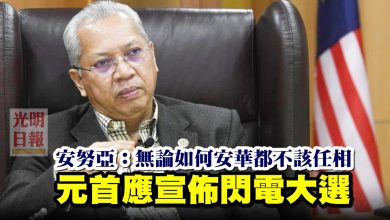 Photo of 元首應宣佈閃電大選  安努亞：無論如何安華都不該任相