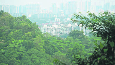 Photo of 【自遊自在】一路蜿蜒青山绿水伴我行