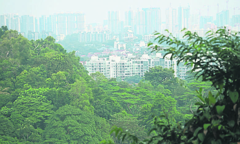 由山顶上能眺望到新加坡城区。