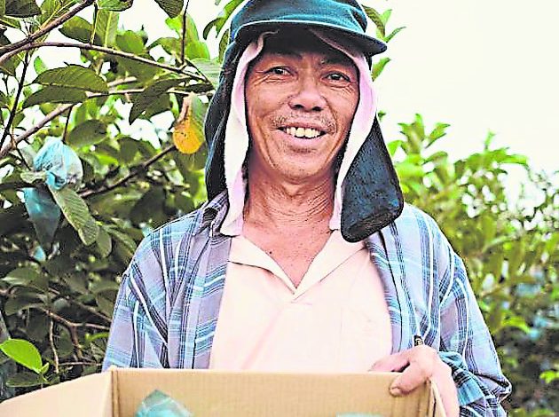 要收獲好果實,就得付出更多的時間和心思。