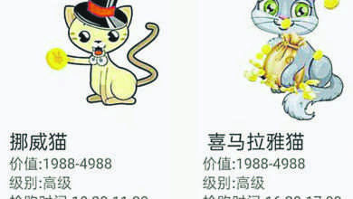 Photo of 相信虛擬養貓可賺錢 中國數千人血本無歸