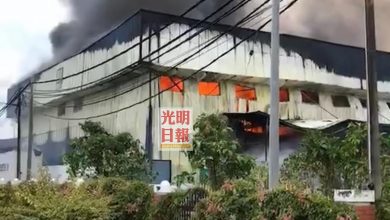 Photo of 吉德信靈芝工廠大火  員工安全逃離