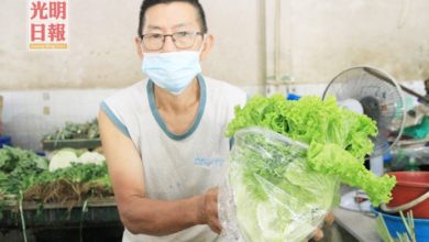 Photo of 雨季影響收成  米都蔬菜漲價40%